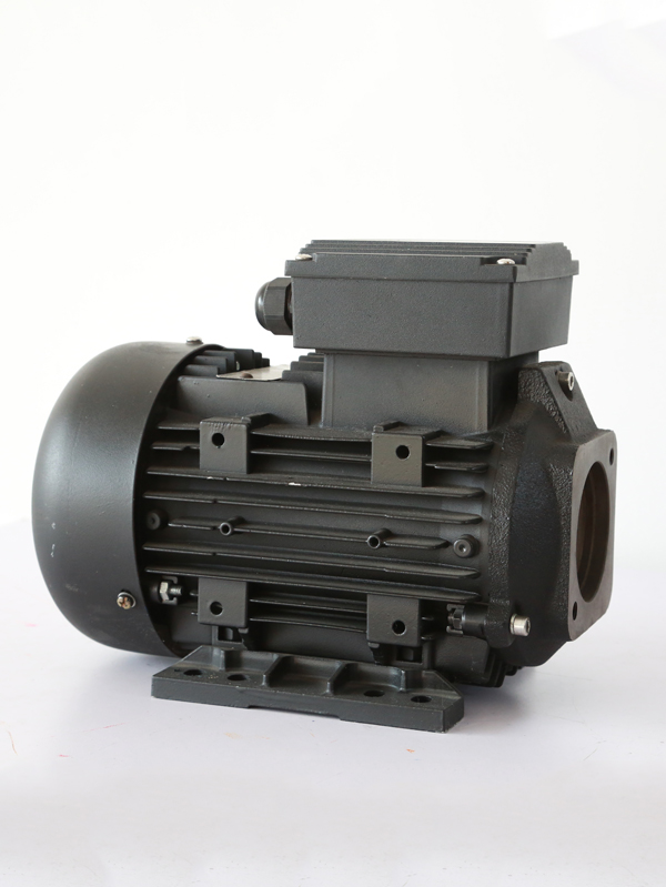 永磁電機 永磁電機